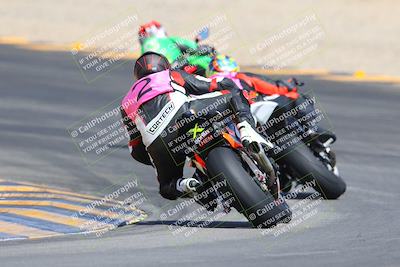 media/Mar-10-2024-SoCal Trackdays (Sun) [[6228d7c590]]/9-Turn 8 Backside (1150am)/